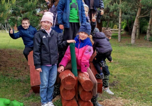 Zdjęcie 11 na 21