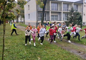 Zdjęcie 3 na 6